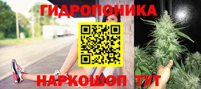 ECSTASY Абакан
