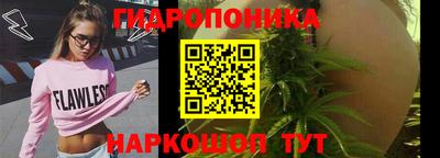 ECSTASY Абакан
